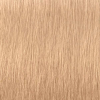 Schwarzkopf Professional ROYAL HIGHLIFTS Permanent Color Creme 12-1 blond spécial cendré, Tube 60 ml - 2
