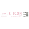 Icon Cure Conditioning Treatment 250 ml - 2