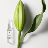 Dr. Hauschka Renew & Activate Ampoules 28 x 2 ml - 2