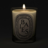 diptyque Baies Classic Candle 190 g - 2
