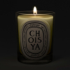 diptyque Choisya Classic Candle 190 g - 2