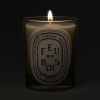 diptyque Feu de Bois Classic Candle 190 g - 2
