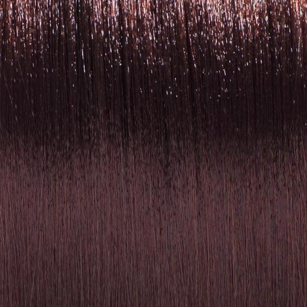 Basler Color 2002+ Coloration crème pour cheveux 5/0 châtain clair, Tube 60 ml - 2