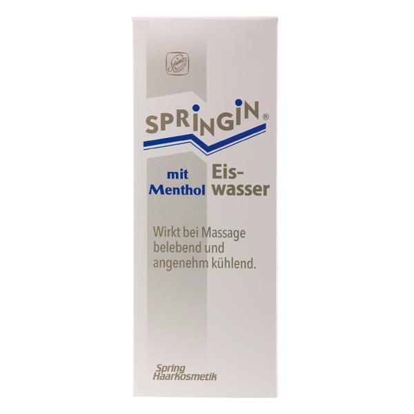 Spring Ice water with menthol 250 ml - 2