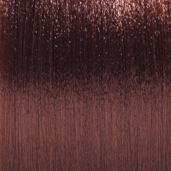 Basler Color 2002+ Colore dei capelli crema 6/i biondo scuro intensivo, tubo 60 ml - 2