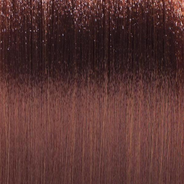 Basler Color 2002+ Color de pelo crema 6/0 rubio oscuro, tubo 60 ml - 2