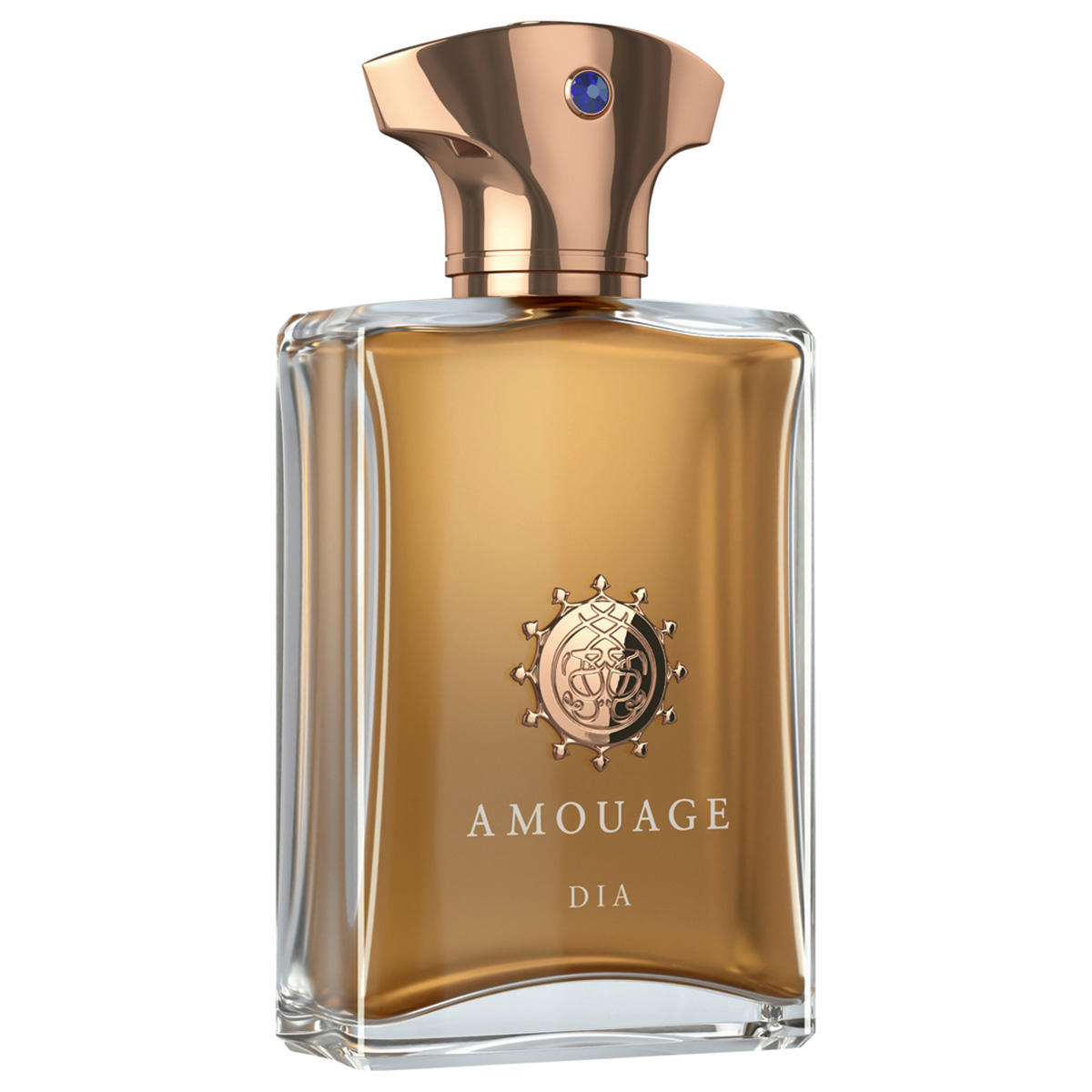 AMOUAGE Iconic Dia Man Eau de Parfum 100 ml - 2