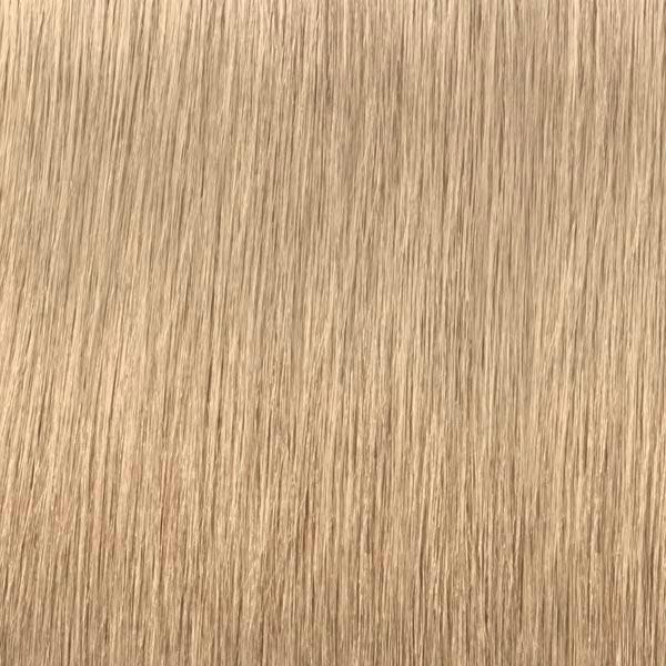 Schwarzkopf Professional IGORA ROYAL HIGHLIFTS Permanent Color Creme 10-1 Ultrablond Cendré, Tube 60 ml - 2