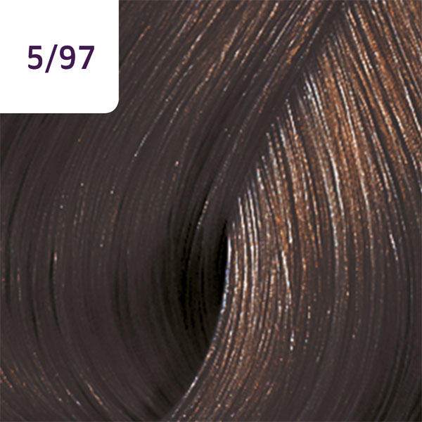 Wella Color Touch Rich Naturals 5/97 Light Brown Cendré Brown - 2