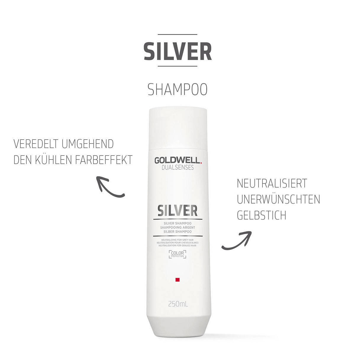 Goldwell Dualsenses Silver Shampoo 250 ml - 2