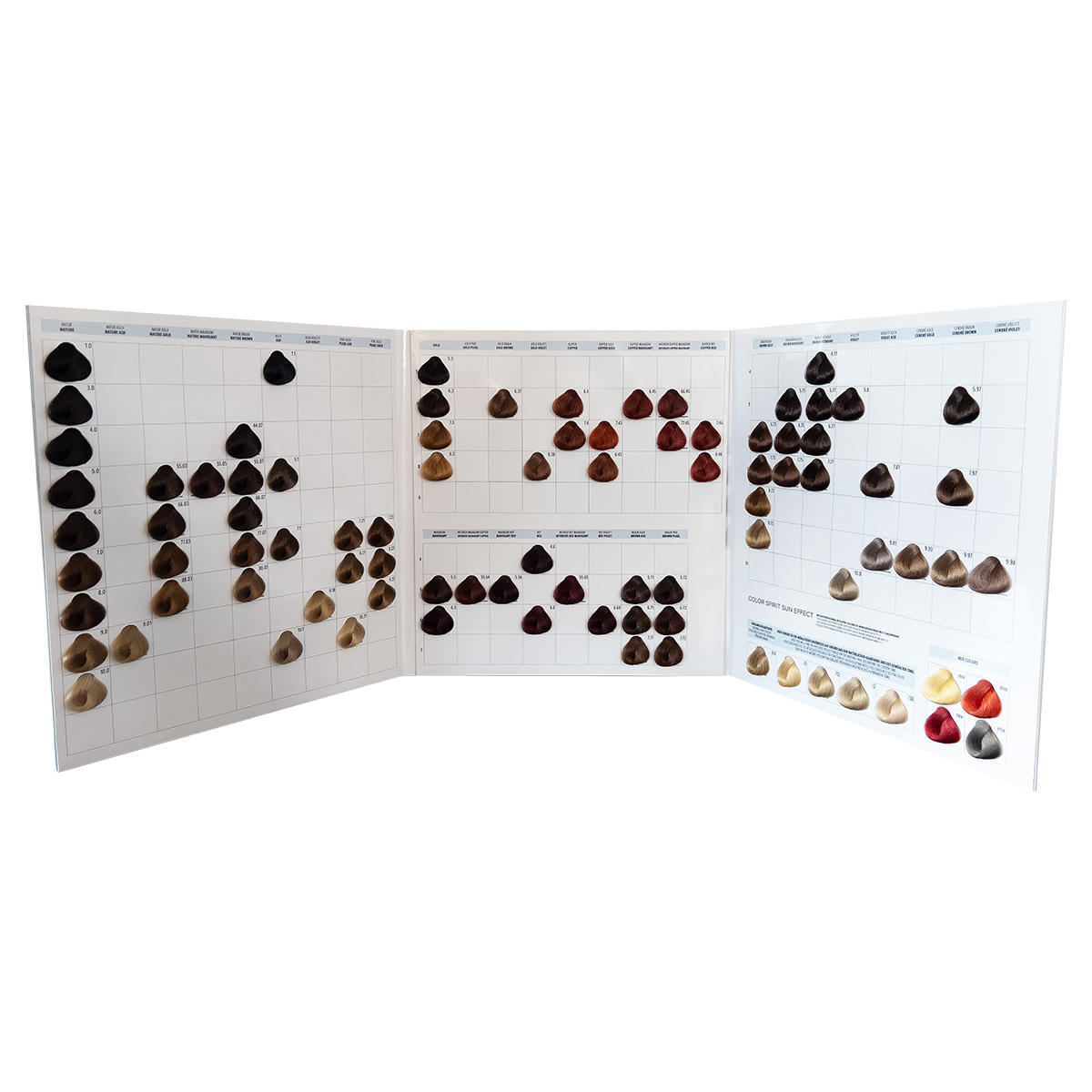 dusy professional Color Spirit Farbkarte  - 2