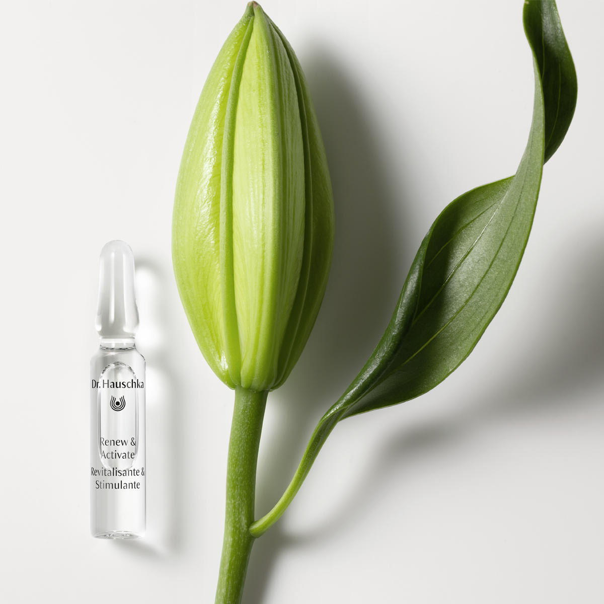 Dr. Hauschka Renew & Activate Ampoules 28 x 2 ml - 2