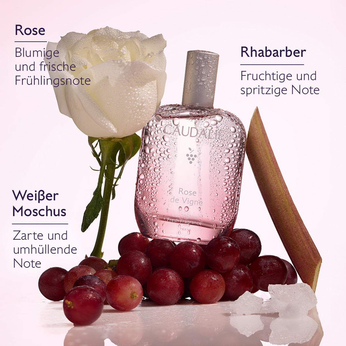 CAUDALIE Rose de Vigne Eau Fraîche 50 ml - 2