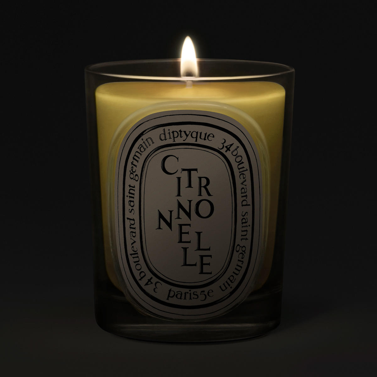diptyque Citronnelle Classic Candle 190 g - 2
