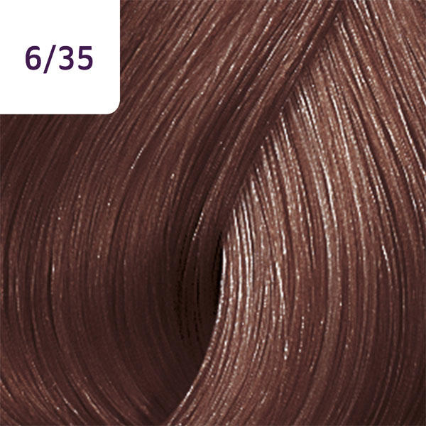 Wella Color Touch Rich Naturals 6/35 Dunkelblond Gold Mahagoni - 2