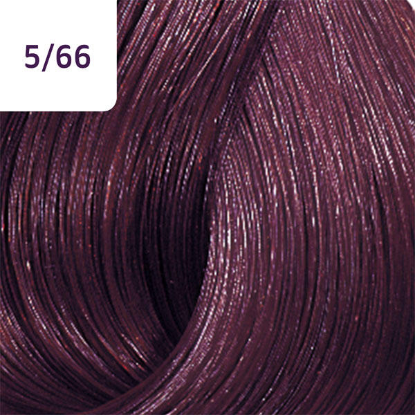 Wella Color Touch Vibrant Reds 5/66 Hellbraun Violett Intensiv - 2