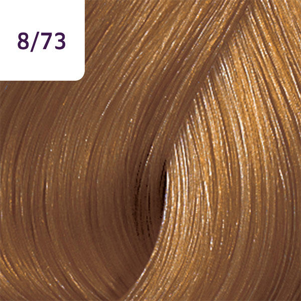 Wella Color Touch Deep Browns 8/73 Blond clair brun doré - 2