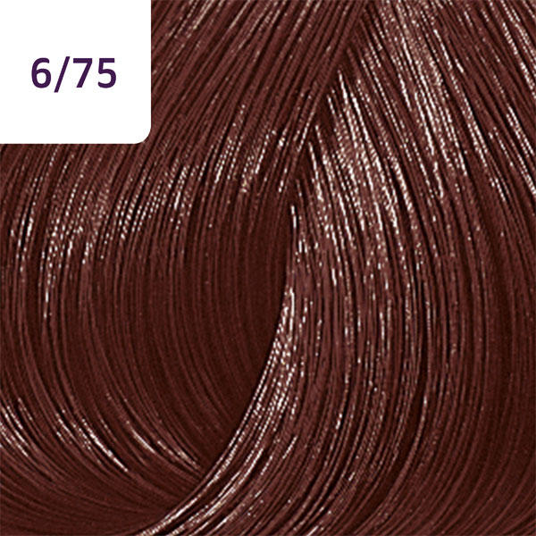 Wella Color Touch Deep Browns 6/75 Dunkelblond Braun Mahagoni - 2