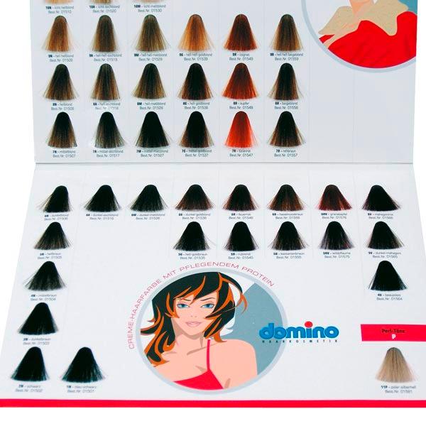 Domino Carta de colores Color de pelo  - 2