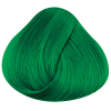 Directions Haartönung Apple Green 100 ml - 3