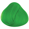 La rich'e Directions Haartönung Spring Green 100 ml - 3