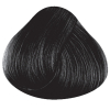 La rich'e Directions Haartönung Ebony 100 ml - 3