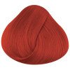 La rich'e Directions Haartönung Flame 100 ml - 3