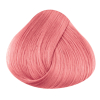 La rich'e Directions Haartönung Pastel Pink 100 ml - 3