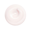 Shiseido Essential Energy Hydrating Cream 50 ml - 3