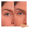 Shiseido Synchro Skin Self-Refreshing Concealer 203, 15 ml - 3