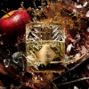 Kilian Paris Fragrance Apple Brandy Eau de Parfum nachfüllbar 50 ml - 3