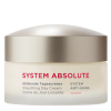 ANNEMARIE BÖRLIND SYSTEM ABSOLUTE SYSTEM ANTI-AGING Day Care Set  - 3