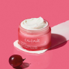 CAUDALIE VinoHydra Crème Hydratation Intense 50 ml - 3