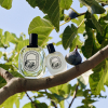 diptyque Philosykos Hair Mist 30 ml - 3