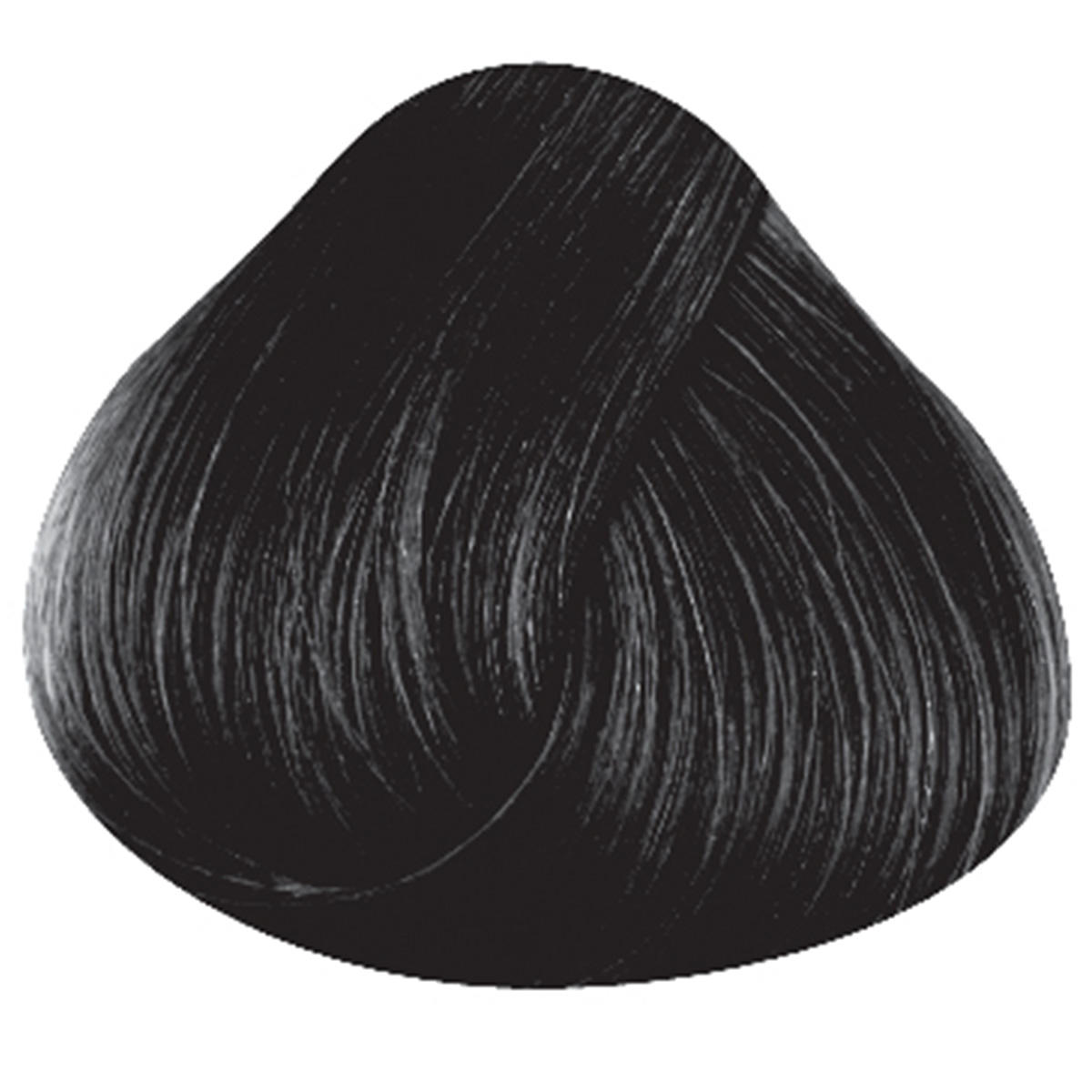 La rich'e Directions Haartönung Ebony 100 ml - 3