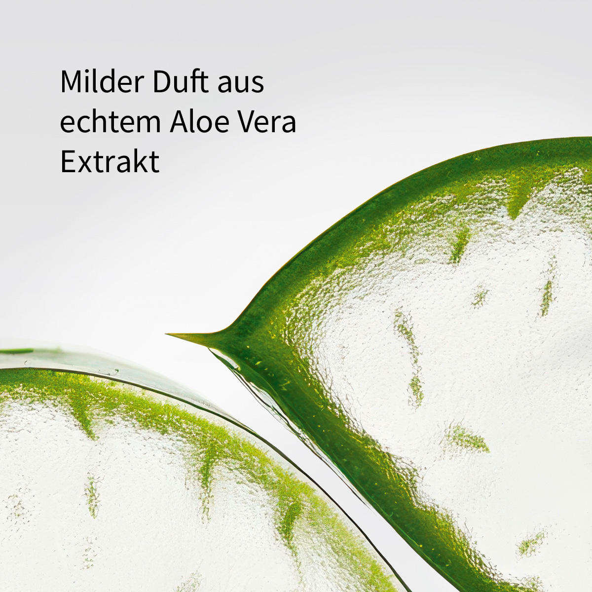 basler Aloe Vera Shampoo & Shower 500 ml - 3