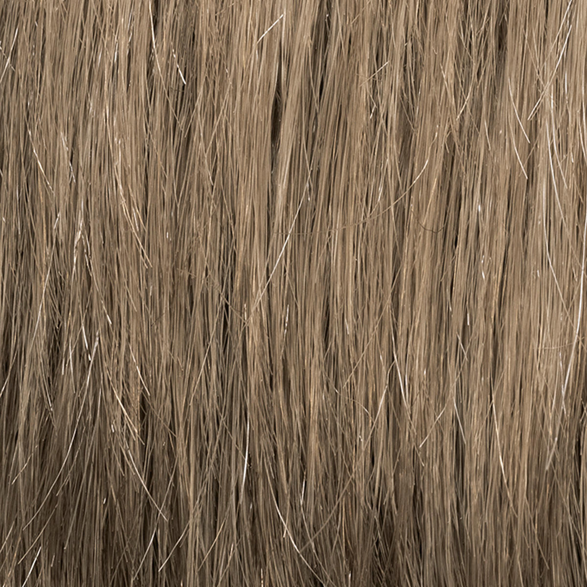 Ellen Wille Hairformance Perruque en cheveux synthétiques Brad M14s - 3