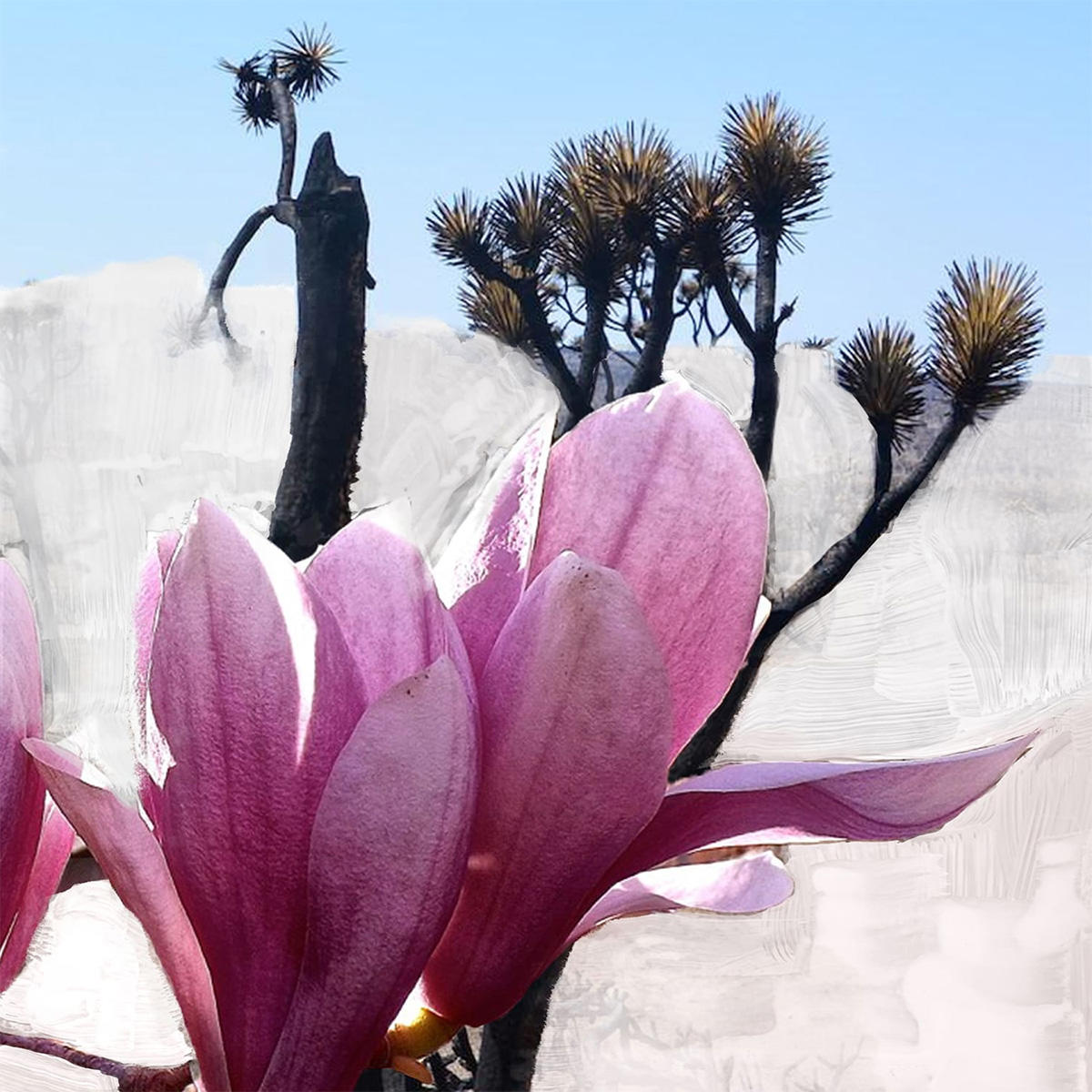 BYREDO Mojave Ghost Body Lotion 225 ml - 3