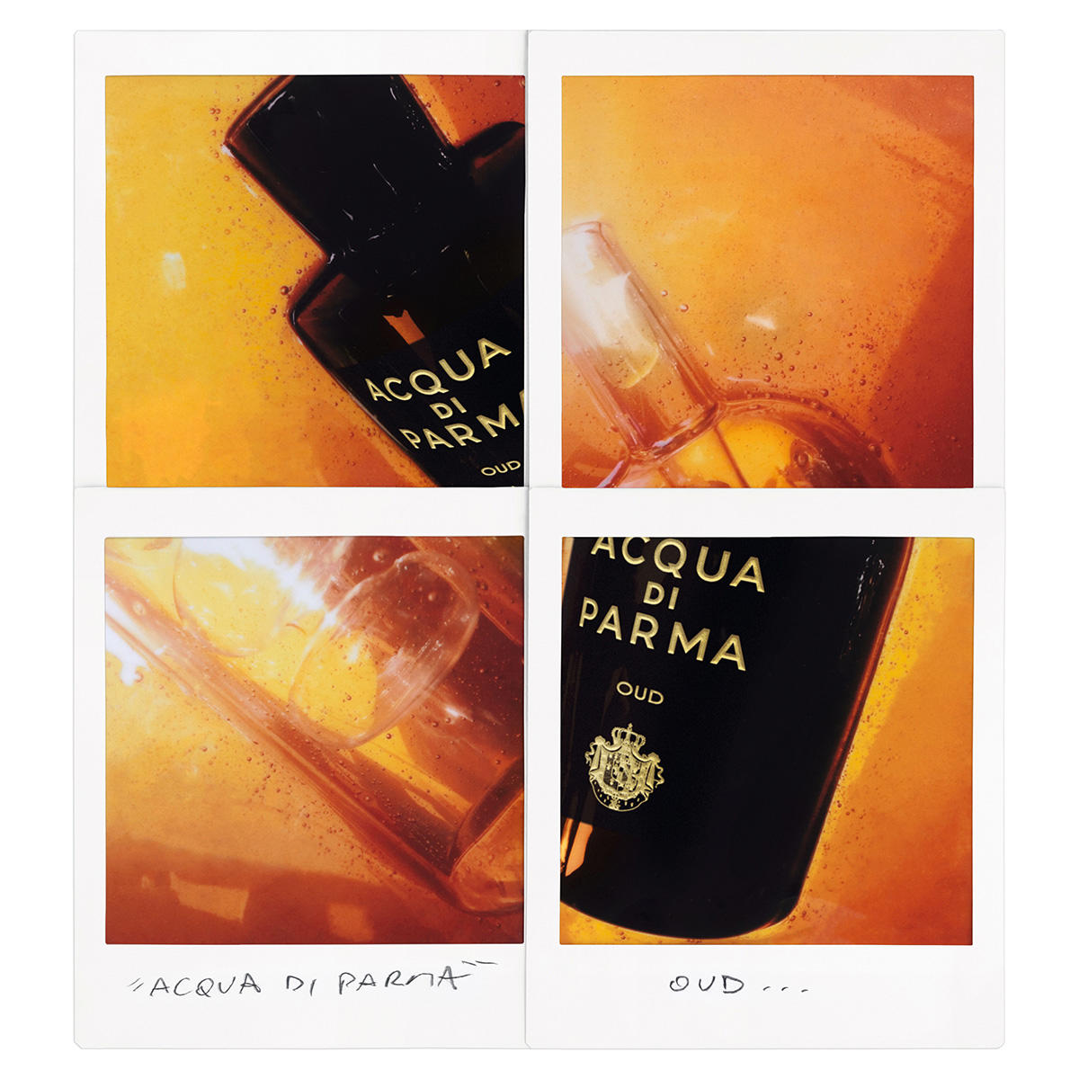 Acqua di Parma Signatures of the Sun Oud Eau de Parfum 100 ml - 3