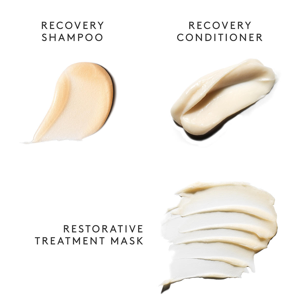Virtue Recovery Discovery Kit  - 3