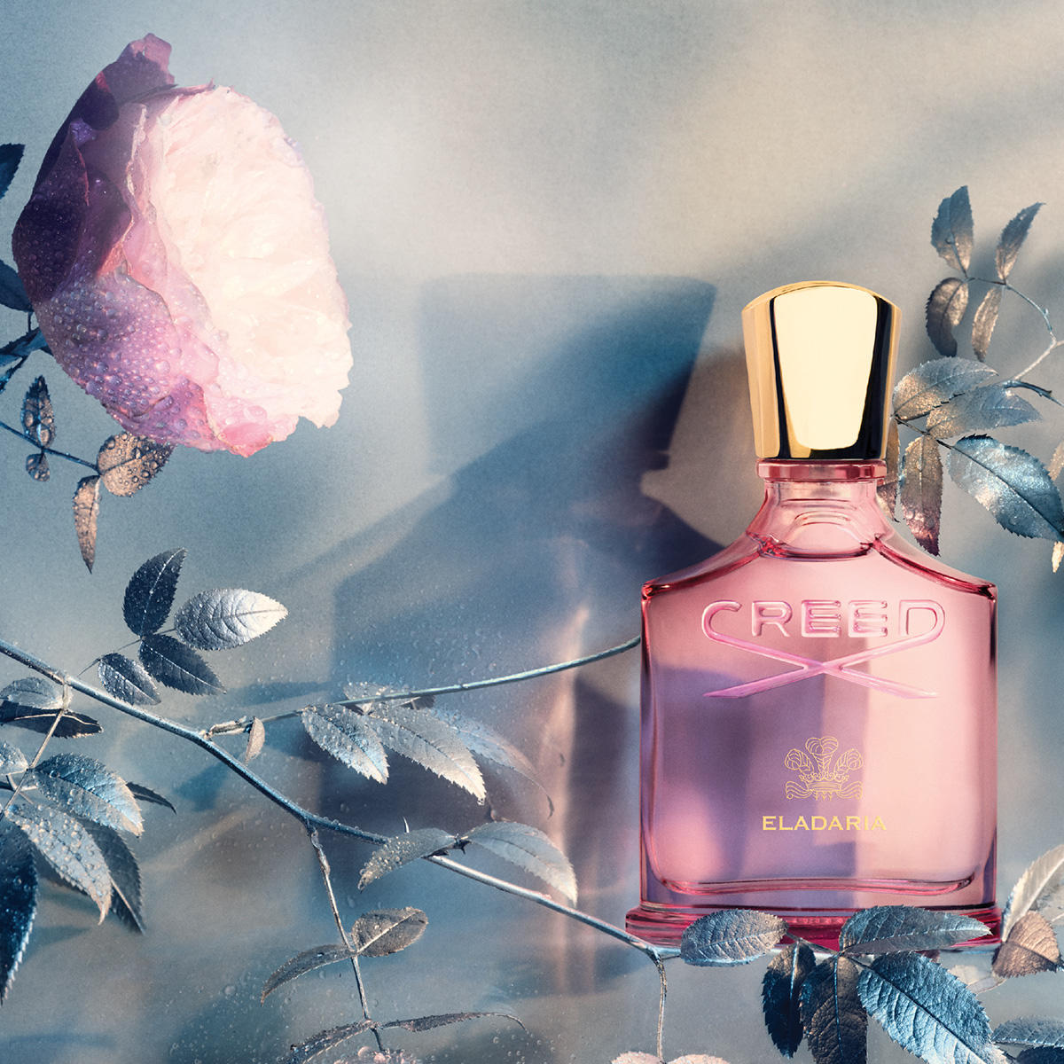 Creed Eladaria Eau de Parfum online kaufen | baslerbeauty