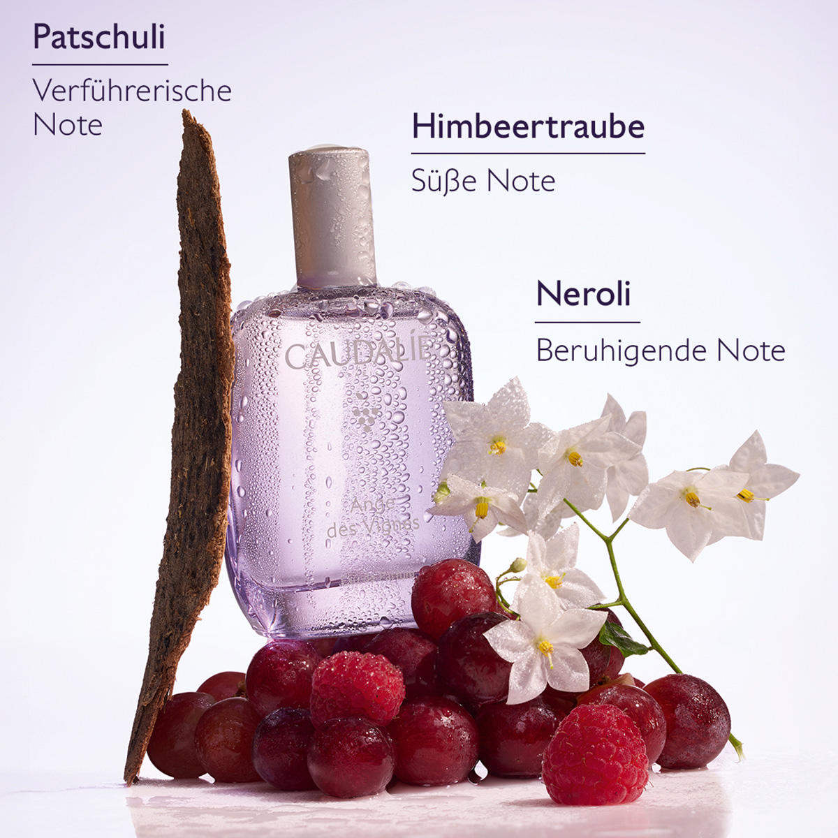 CAUDALIE Ange des Vignes Eau de Parfum 50 ml - 3