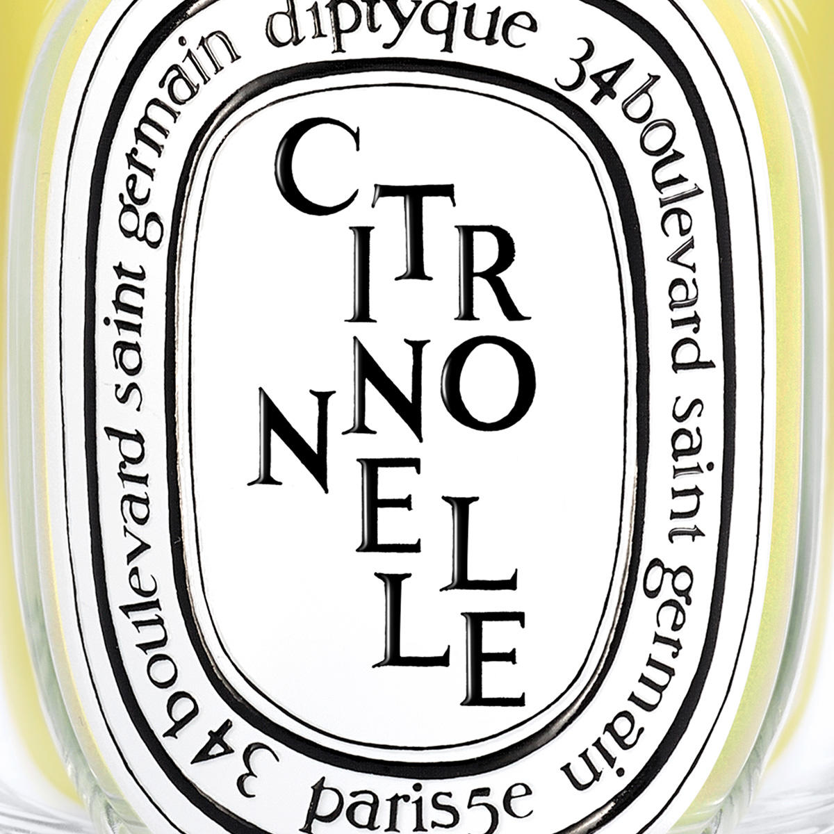 diptyque Citronnelle Classic Candle 190 g - 3
