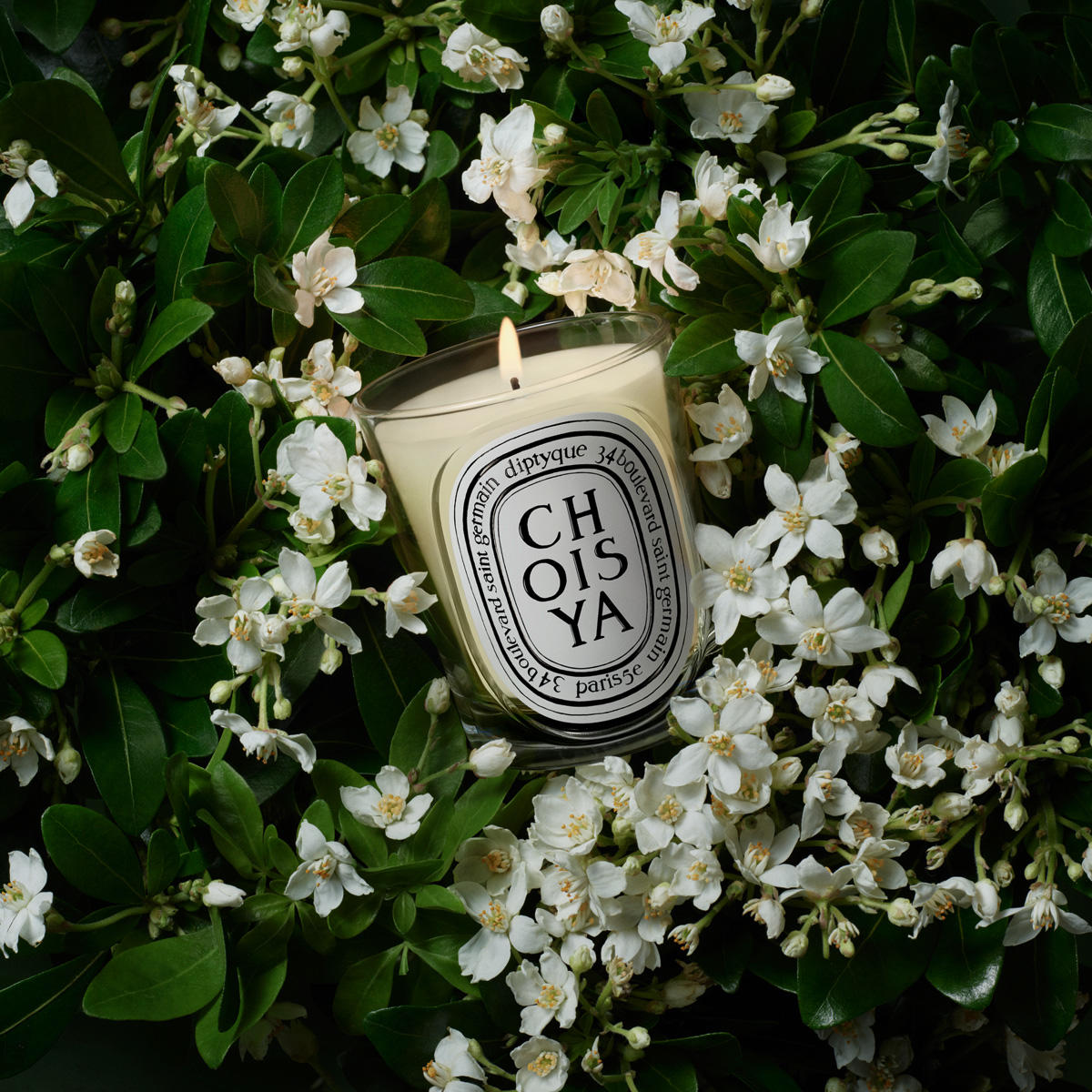 diptyque Choisya Classic Candle 190 g - 3