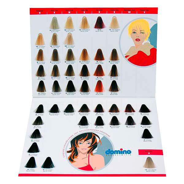 Domino Kleurenkaart Haarkleur  - 3