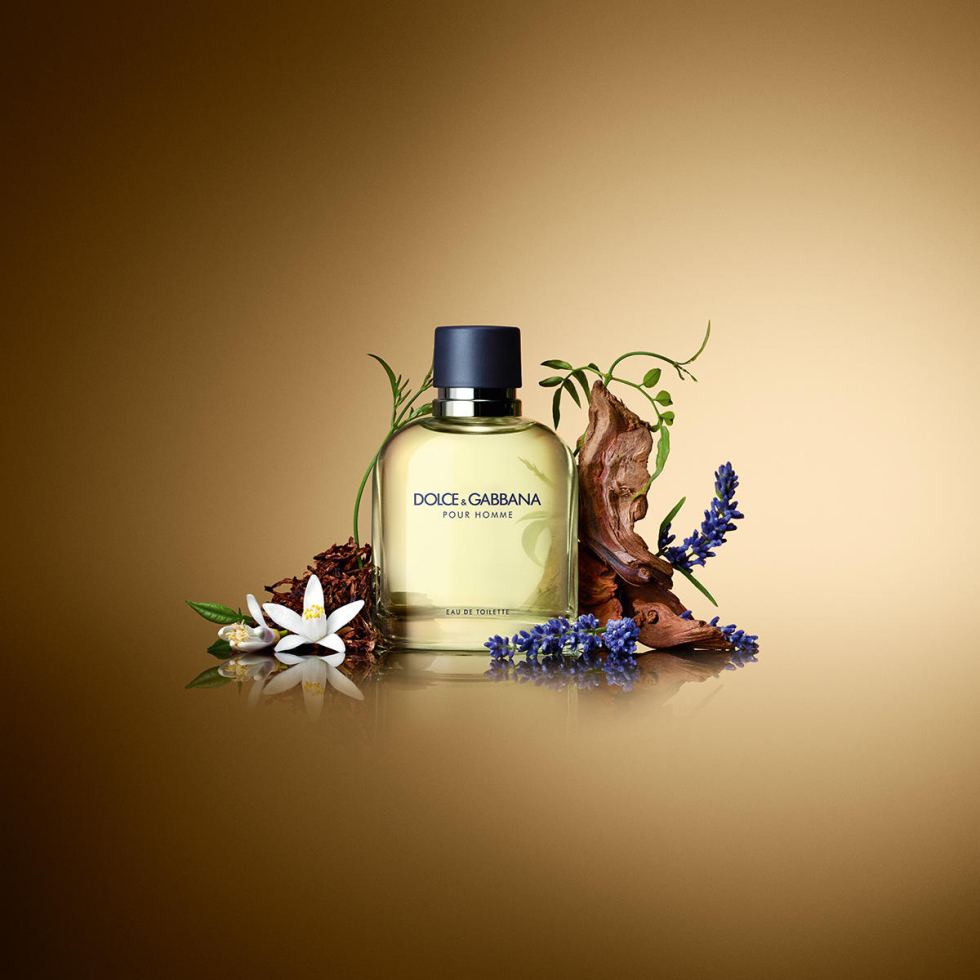 Dolce Gabbana Pour Homme Eau de Toilette baslerbeauty