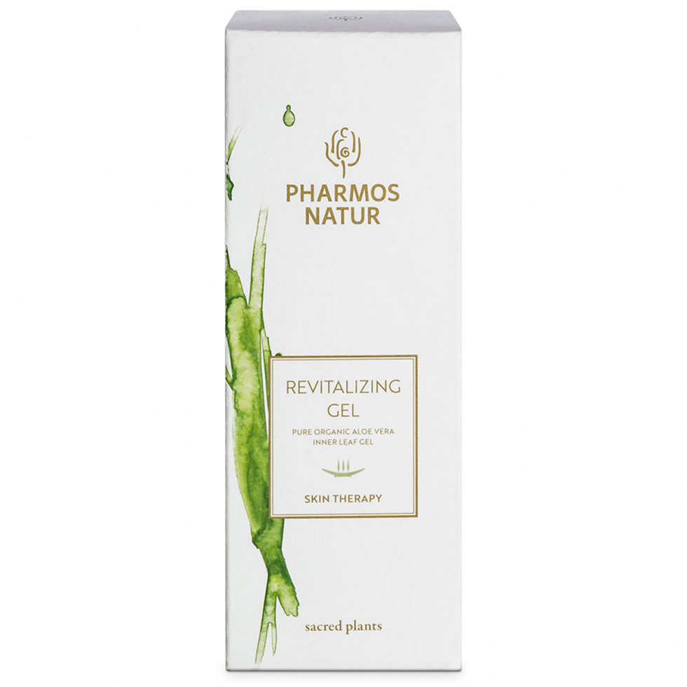 where to buy aloe vera near me Medium Aloe Vera main image 1