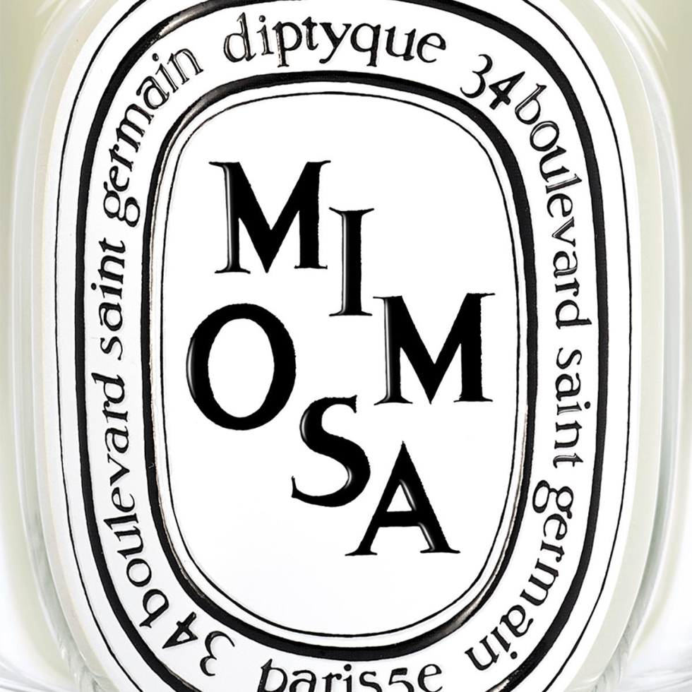 diptyque Mimosa Classic Candle 190 g acheter en ligne | baslerbeauty