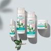 basler Jojoba Haaröl Glasflasche mit Spender 50 ml - 4