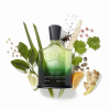 Creed Millesime for Men Original Vetiver Eau de Parfum 50 ml - 4